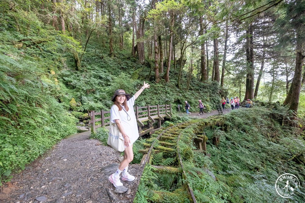 宜蘭太平山景點|見晴懷古步道|CNN全球最美小徑-綠苔山林鐵道遺跡|太平山一日遊必玩推薦