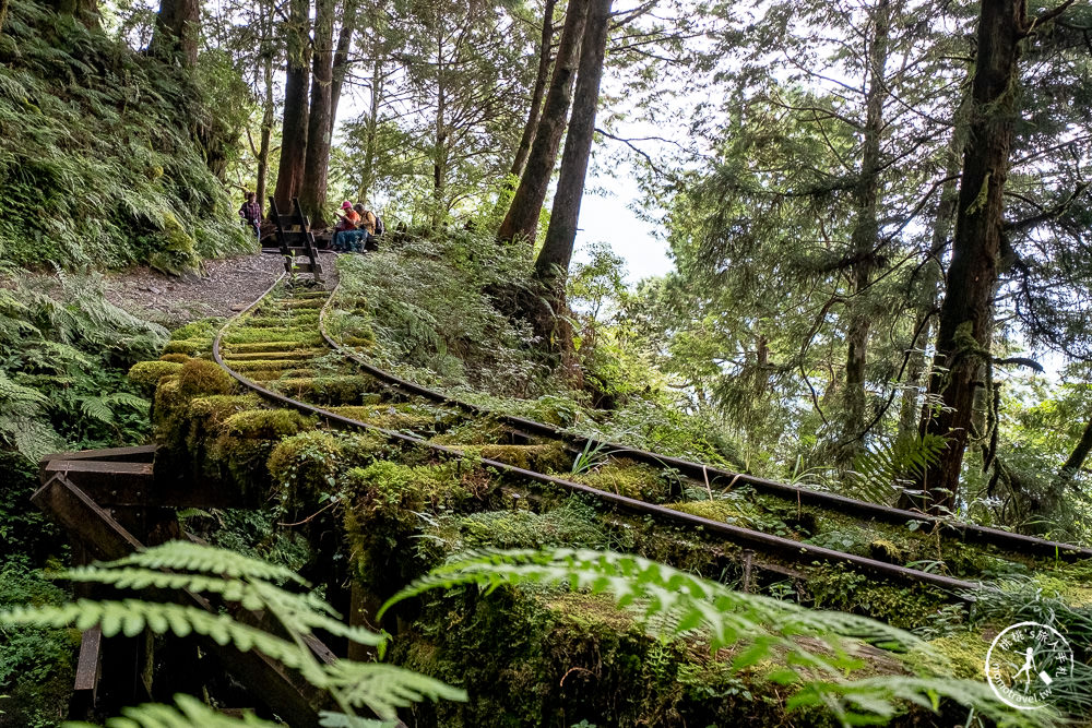 宜蘭太平山景點|見晴懷古步道|CNN全球最美小徑-綠苔山林鐵道遺跡|太平山一日遊必玩推薦