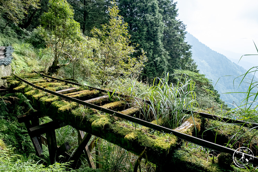 宜蘭太平山景點|見晴懷古步道|CNN全球最美小徑-綠苔山林鐵道遺跡|太平山一日遊必玩推薦