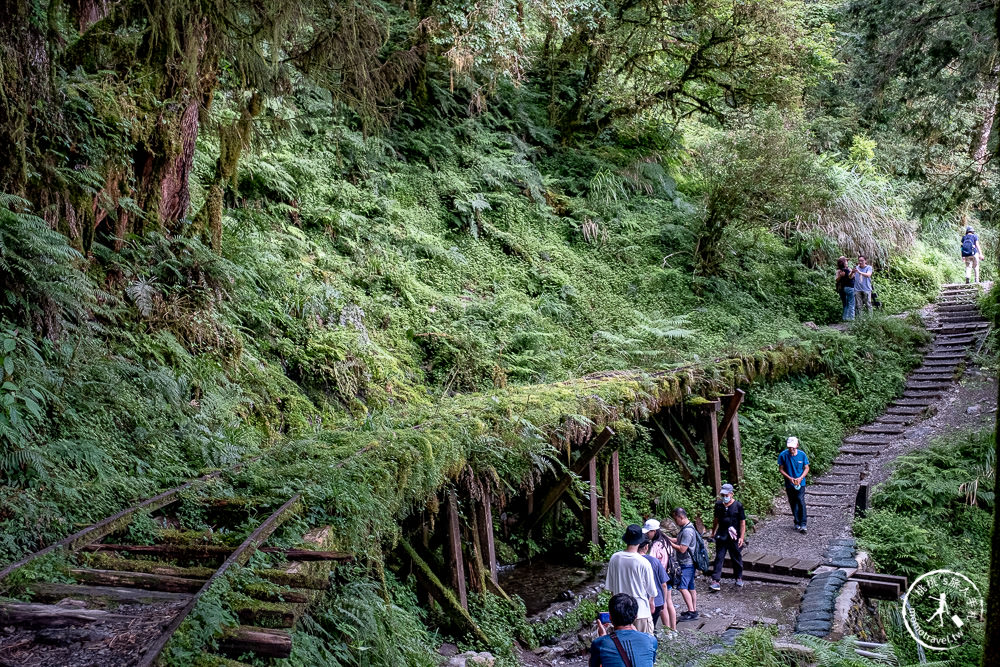 宜蘭太平山景點|見晴懷古步道|CNN全球最美小徑-綠苔山林鐵道遺跡|太平山一日遊必玩推薦