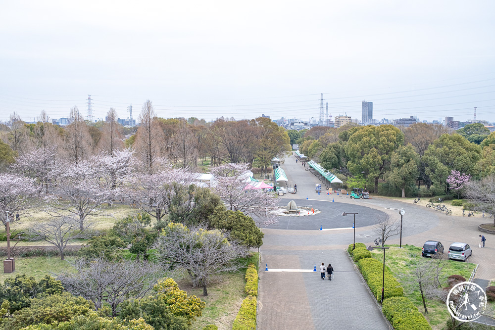 東京賞櫻景點|舍人公園-千本櫻絕美盛開！品種多元花期長 悠閒野餐推薦-日暮里舍人線櫻花秘境