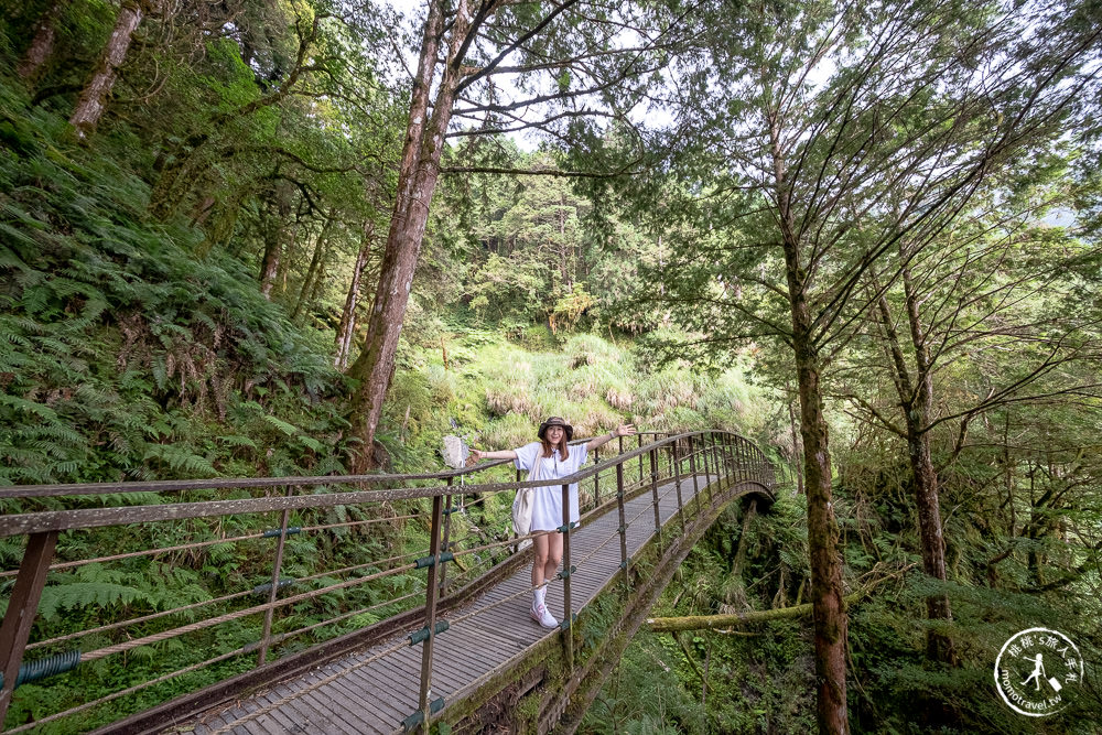 宜蘭太平山景點|見晴懷古步道|CNN全球最美小徑-綠苔山林鐵道遺跡|太平山一日遊必玩推薦