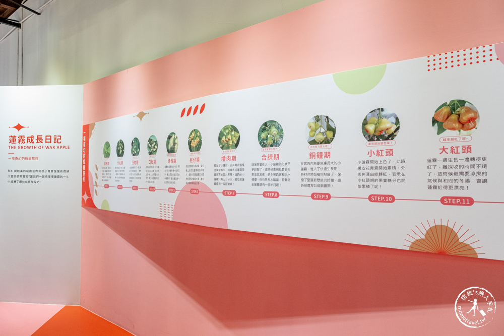 屏東佳冬景點|透紅佳人夢想樂園|跟著蓮霧巨人探索魔法夢工廠|佳冬鄉農會特色景點