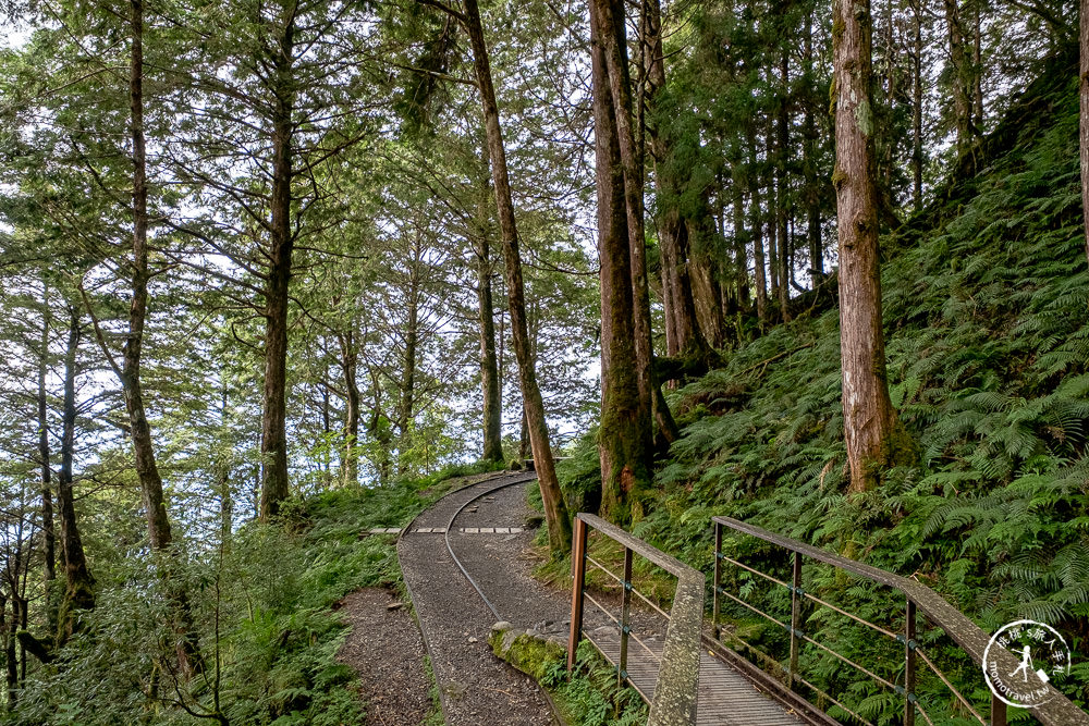 宜蘭太平山景點|見晴懷古步道|CNN全球最美小徑-綠苔山林鐵道遺跡|太平山一日遊必玩推薦