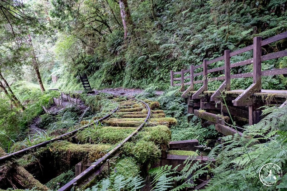 宜蘭太平山景點|見晴懷古步道|CNN全球最美小徑-綠苔山林鐵道遺跡|太平山一日遊必玩推薦