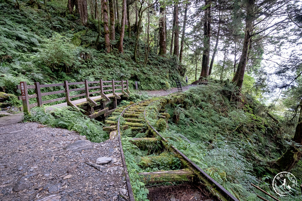 宜蘭太平山景點|見晴懷古步道|CNN全球最美小徑-綠苔山林鐵道遺跡|太平山一日遊必玩推薦