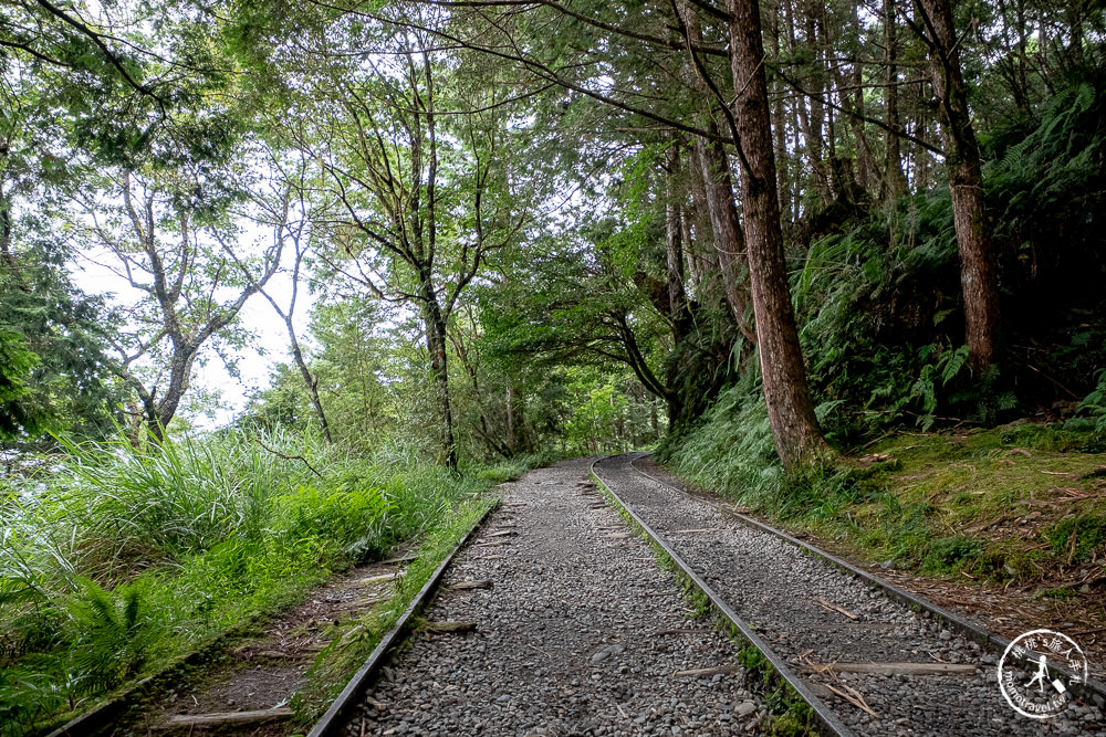 宜蘭太平山景點|見晴懷古步道|CNN全球最美小徑-綠苔山林鐵道遺跡|太平山一日遊必玩推薦