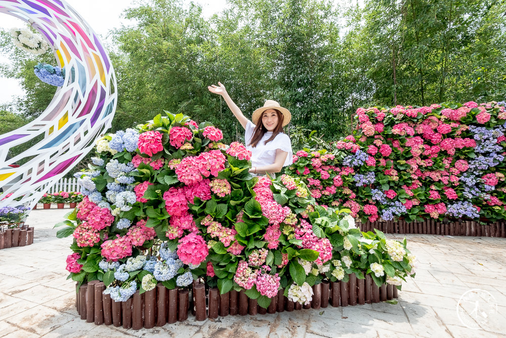 2021桃園繡球花季》8處繡球花祕密花園公開│賞花地點在哪裡？活動時間報你知！