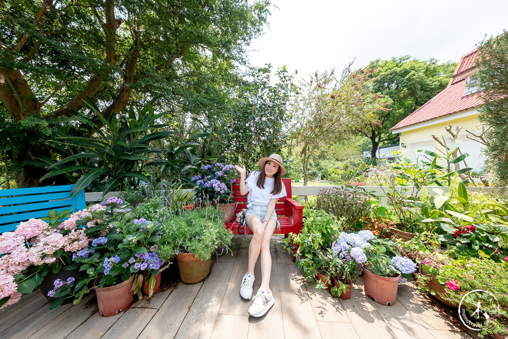2021桃園繡球花季》8處繡球花祕密花園公開│賞花地點在哪裡？活動時間報你知！