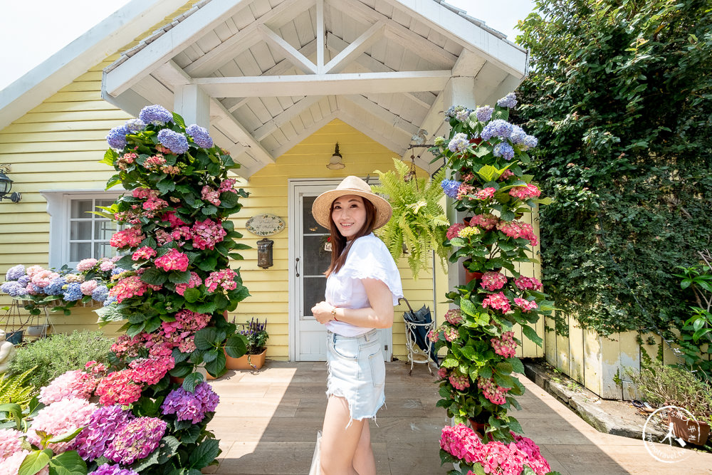2021桃園繡球花季》8處繡球花祕密花園公開│賞花地點在哪裡？活動時間報你知！
