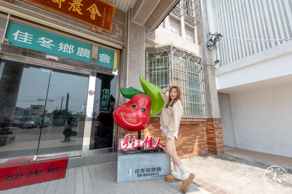 屏東佳冬景點|透紅佳人夢想樂園|跟著蓮霧巨人探索魔法夢工廠|佳冬鄉農會特色景點