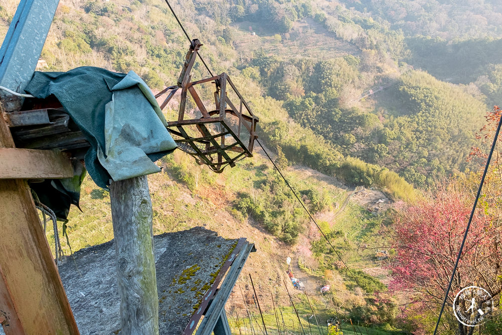 桃園賞櫻景點》中巴陵櫻木花道(免門票)-2021最新花況│拉拉山賞櫻秘境 粉紅昭和櫻花隧道 滿開必看！