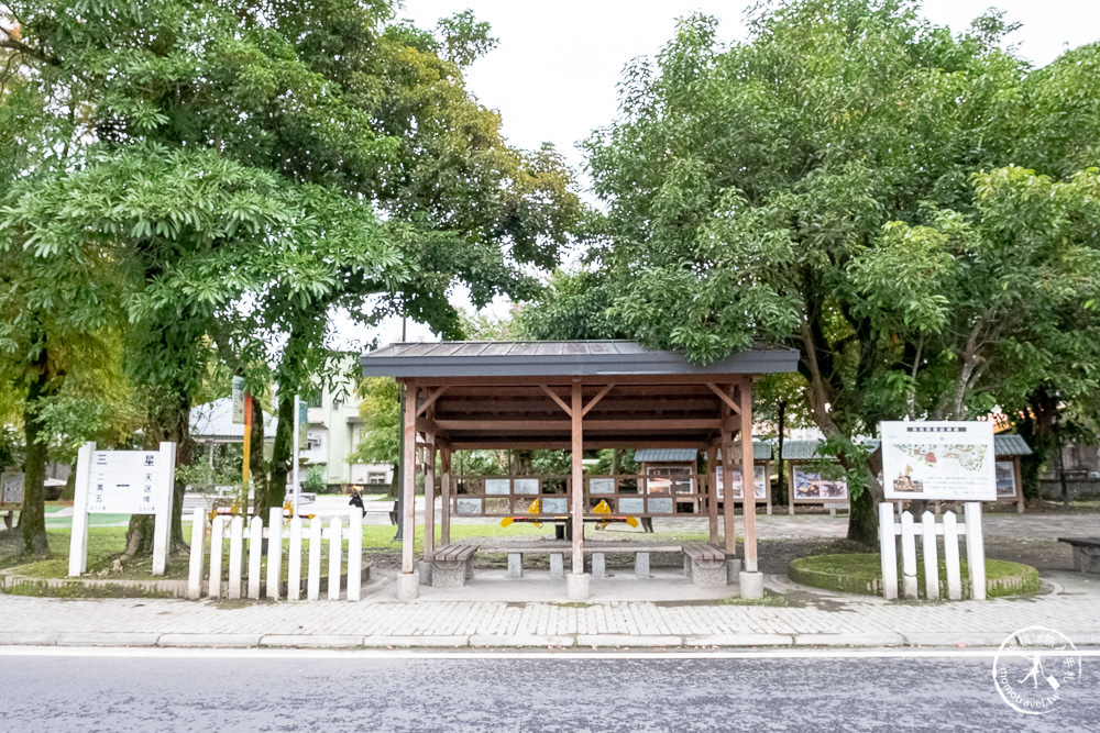 宜蘭三星景點|搖搖洛克馬公園|童心未泯 免費親子景點推薦|落羽松小秘境