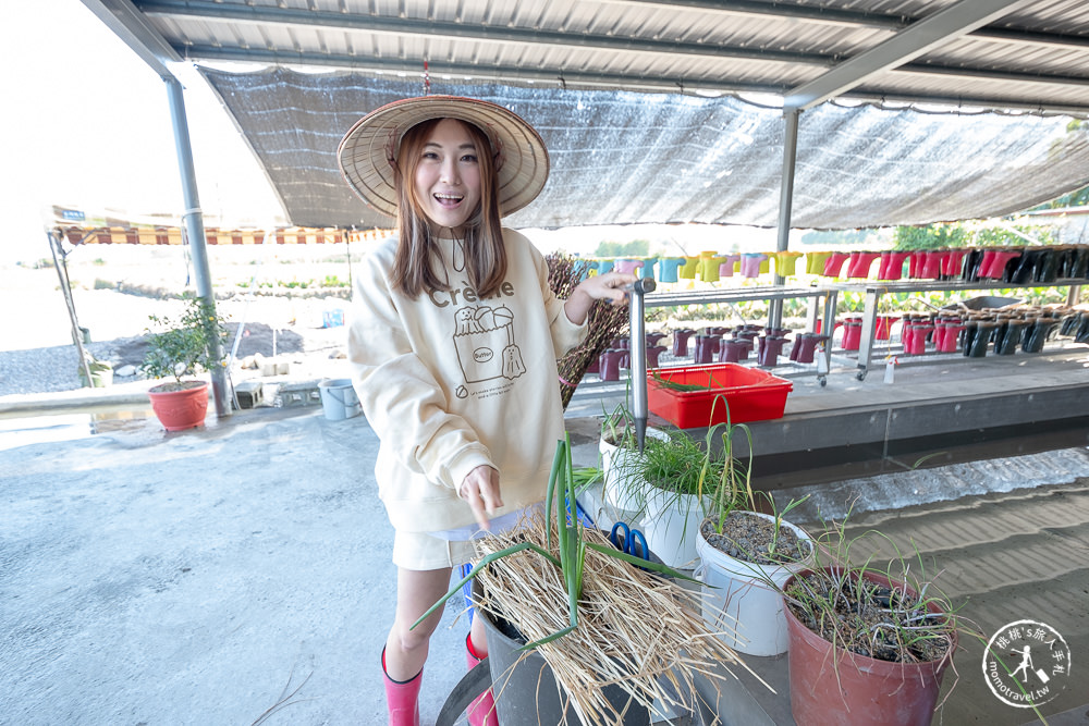 宜蘭三星景點|初咪體驗農場|下田拔蔥．採銀柳．DIY蔥麵包．宜蘭伴手禮．最佳農遊體驗好去處推薦！