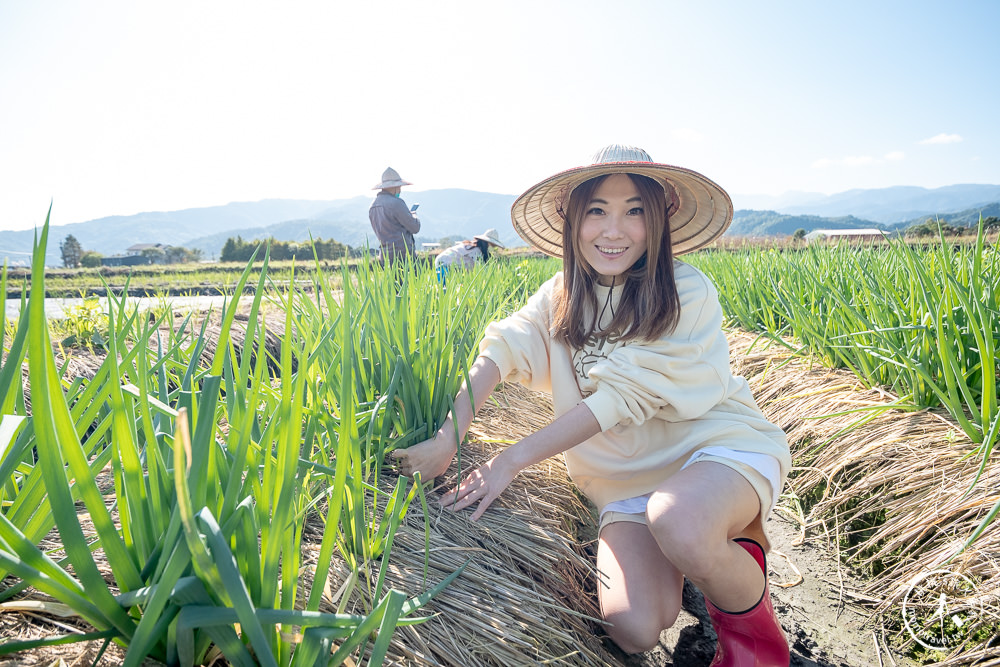 宜蘭三星景點|初咪體驗農場|下田拔蔥．採銀柳．DIY蔥麵包．宜蘭伴手禮．最佳農遊體驗好去處推薦！