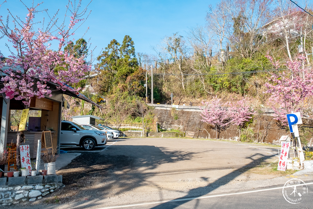 桃園賞櫻景點》中巴陵櫻木花道(免門票)-2021最新花況│拉拉山賞櫻秘境 粉紅昭和櫻花隧道 滿開必看！