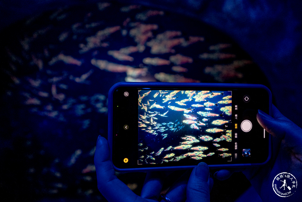 台北展覽|NAKED OCEAN IN TAIPEI 光之影海洋展|沉浸式海底探險 一窺神秘深海世界(展期.門票.周邊商品)