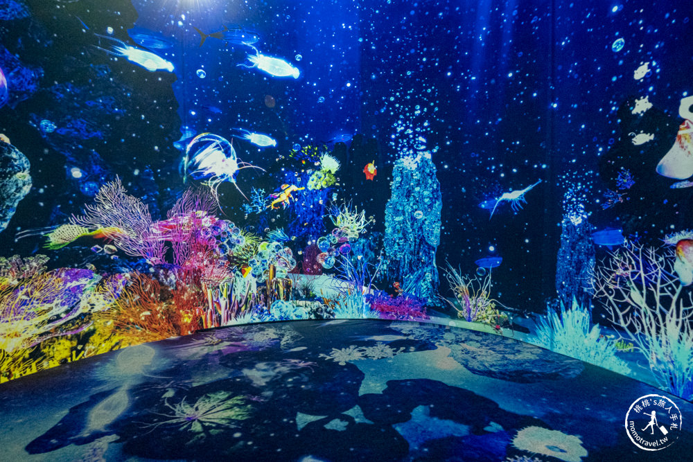台北展覽|NAKED OCEAN IN TAIPEI 光之影海洋展|沉浸式海底探險 一窺神秘深海世界(展期.門票.周邊商品)