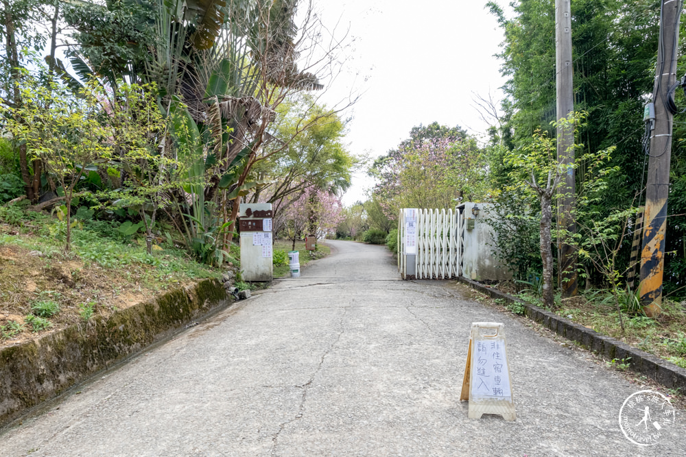 宜蘭大同景點|櫻悅景觀渡假別墅|茶園賞櫻花期花況.打卡免費入園