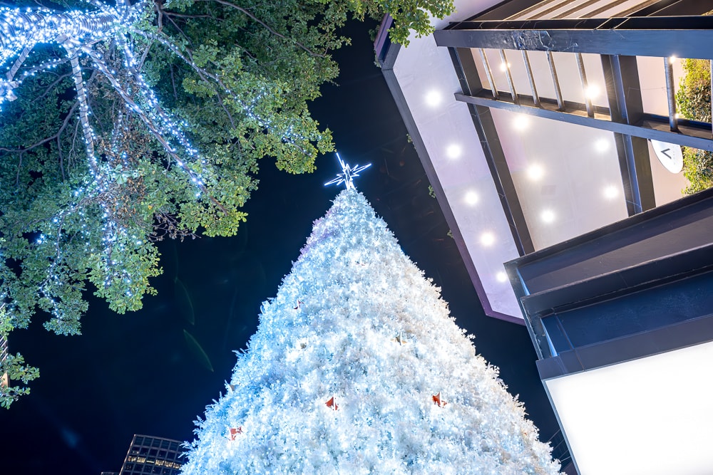 2024聖誕節活動|新光三越信義新天地 北歐耶誕精靈之森|聖誕樹.耶誕燈飾.點燈時間.必拍看點.交通停車介紹