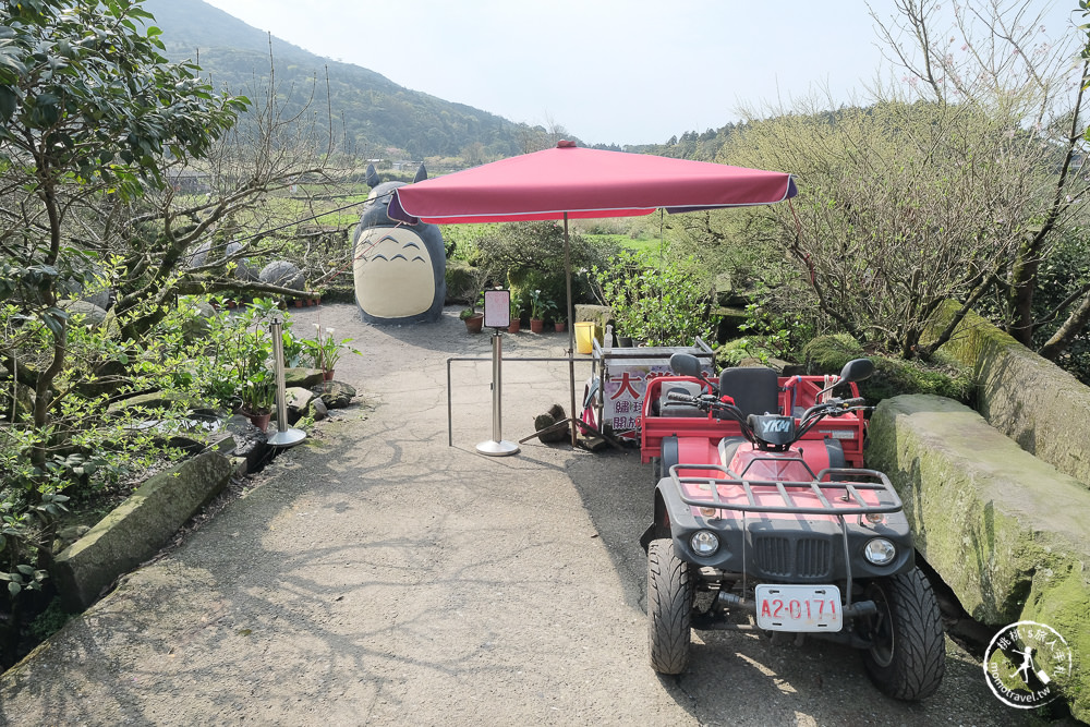 陽明山竹子湖海芋季│大賞園採海芋│最新花況.門票收費.交通停車