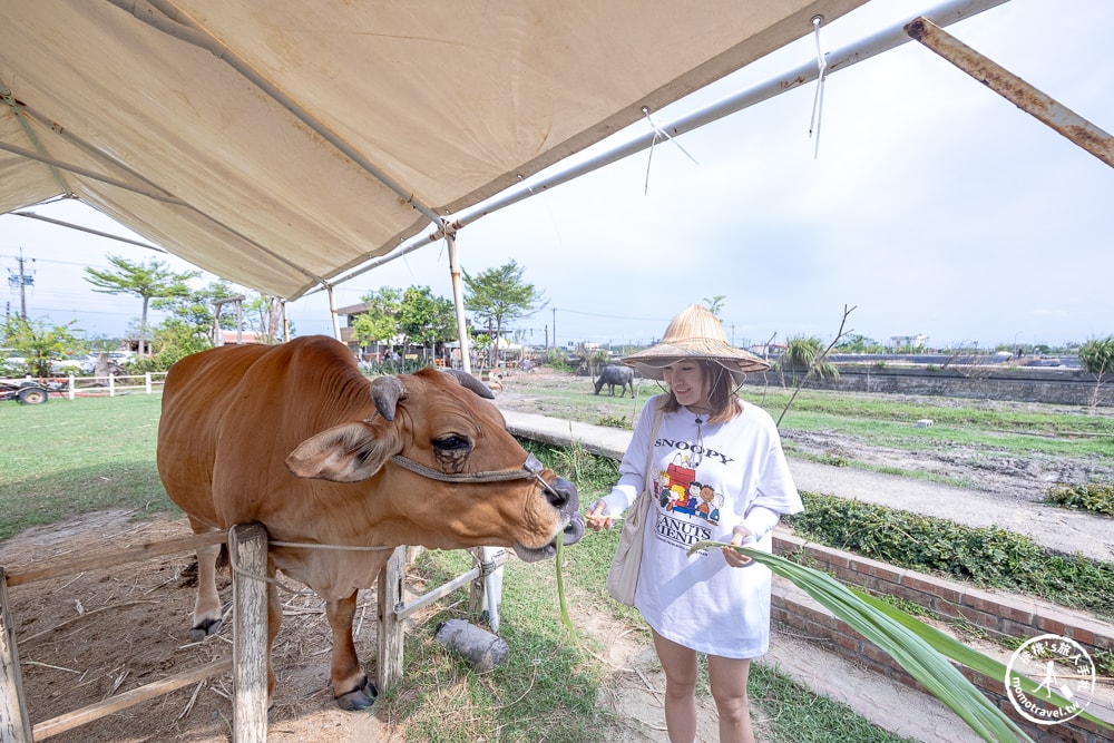 宜蘭壯圍小旅行|東北角2024壯圍生活節|壯圍一日遊.半日遊景點美食推薦