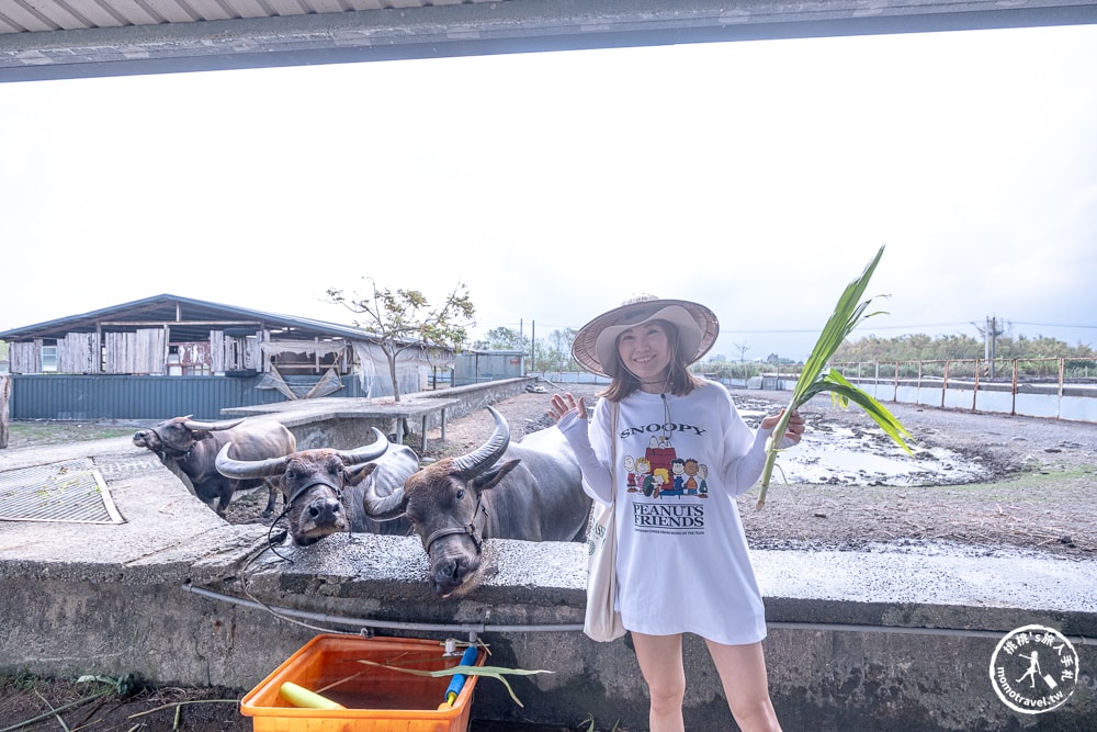 宜蘭壯圍小旅行|東北角2024壯圍生活節|壯圍一日遊.半日遊景點美食推薦