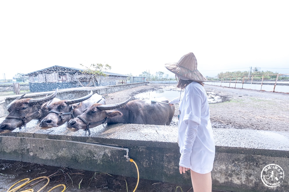 宜蘭壯圍小旅行|東北角2024壯圍生活節|壯圍一日遊.半日遊景點美食推薦