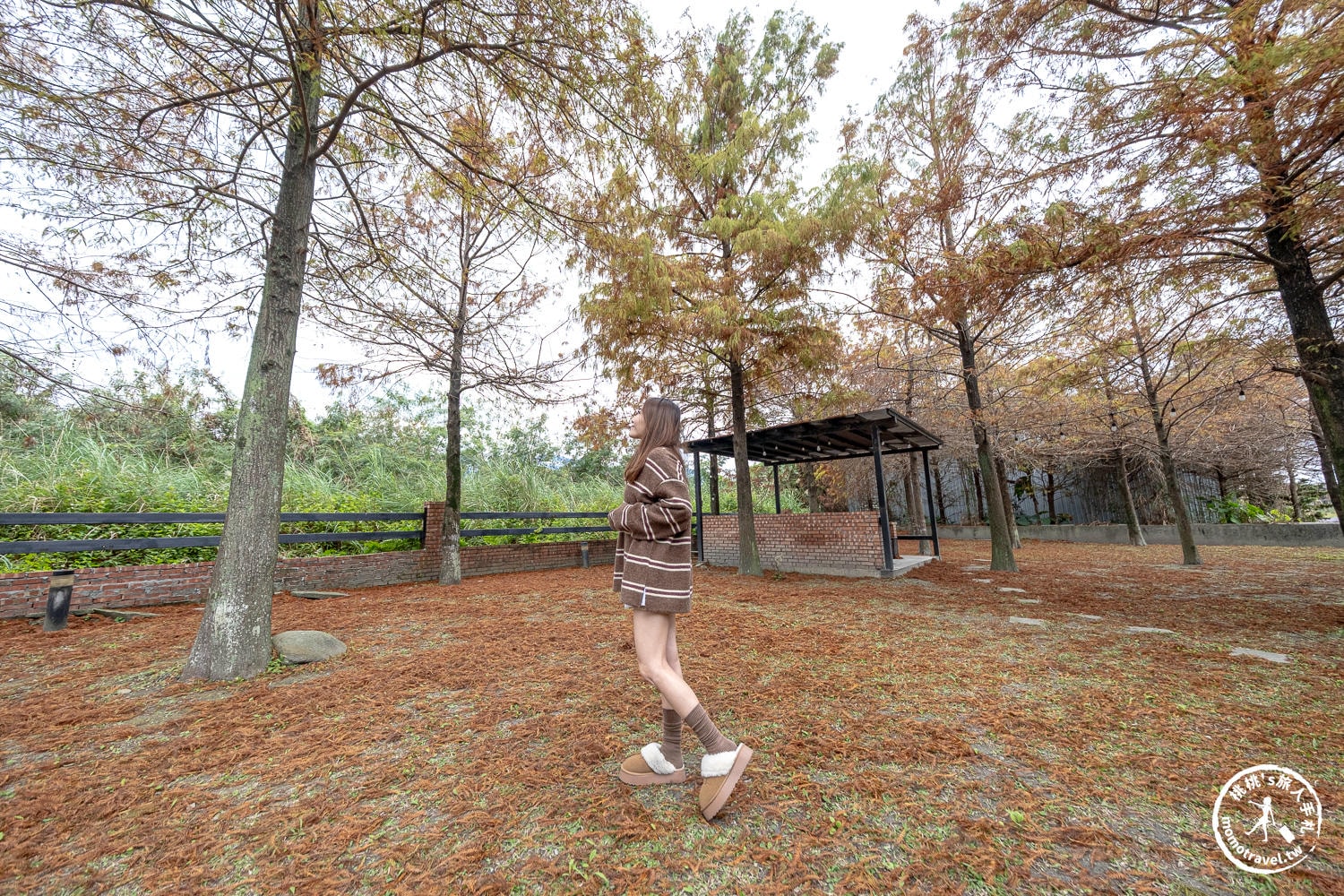 花蓮吉安住宿|森林中民宿-住在夢幻樹屋裡!歐式鄉村風大草皮、落羽松秘境,親子情侶渡假首選推薦|交通/停車/房型設施 花蓮吉安住宿|森林中民宿-住在夢幻樹屋裡!歐式鄉村風大草皮、落羽松秘境,親子情侶渡假首選推薦|交通/停車/房型設施