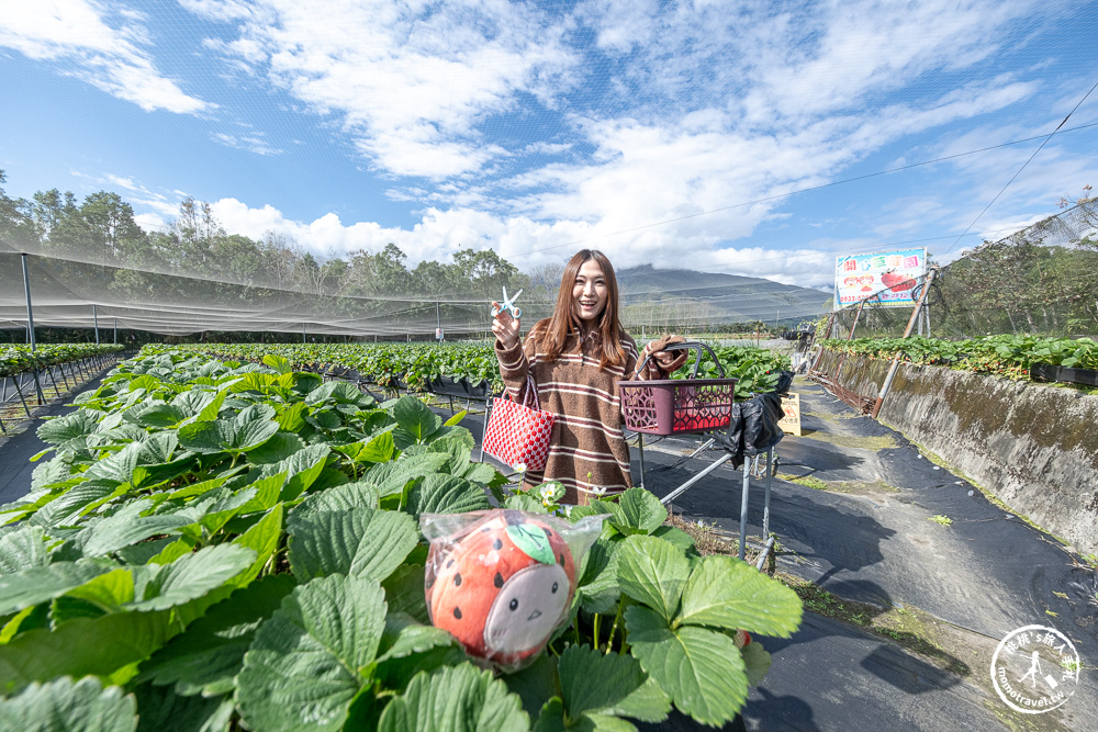 花蓮鳳林採草莓推薦|花蓮開心草莓園-兆豐農場旁 超棒的高架式採草莓體驗(2026年最新 1斤450元) 花蓮鳳林採草莓推薦|花蓮開心草莓園-兆豐農場旁 超棒的高架式採草莓體驗(2026年最新 1斤450元)