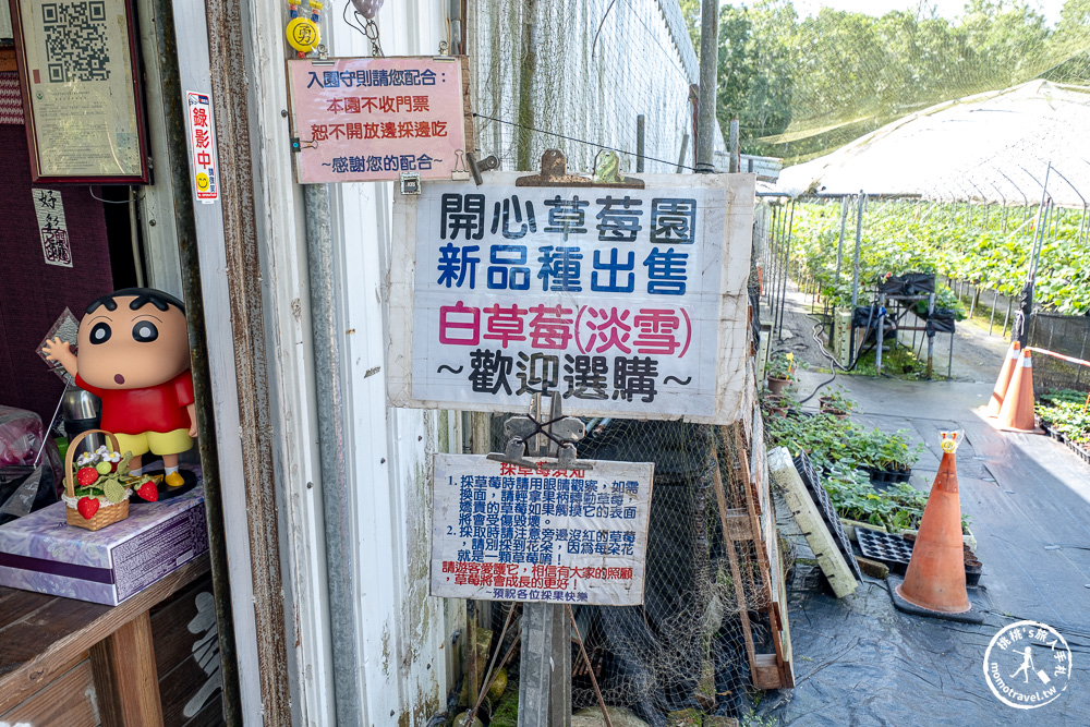 花蓮鳳林採草莓推薦|花蓮開心草莓園-兆豐農場旁 超棒的高架式採草莓體驗(2026年最新 1斤450元) 花蓮鳳林採草莓推薦|花蓮開心草莓園-兆豐農場旁 超棒的高架式採草莓體驗(2026年最新 1斤450元)