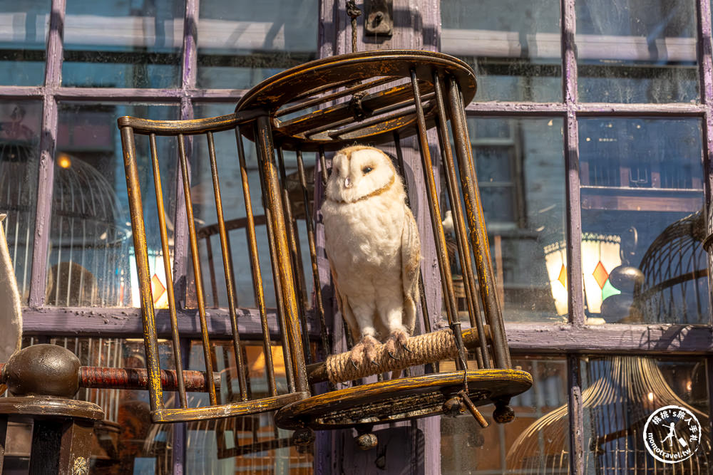 東京豐島園景點|東京哈利波特影城-重返霍格華茲.九又四分之三月台.斜角巷|商品.餐廳.交通.門票詳細攻略
