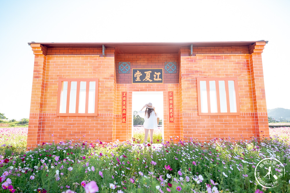 2020桃園花彩節》必看3大展區花海推薦:楊梅.大園.大溪│展區地點拍照攻略