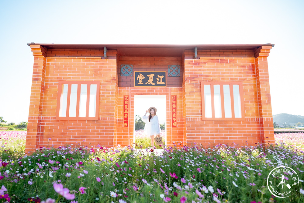 2020桃園花彩節》必看3大展區花海推薦:楊梅.大園.大溪│展區地點拍照攻略