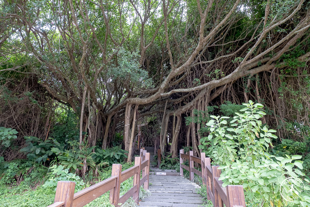 花蓮市景點|曼波海洋生態休閒園區(免門票)|近七星潭四八高地戰備坑道導覽