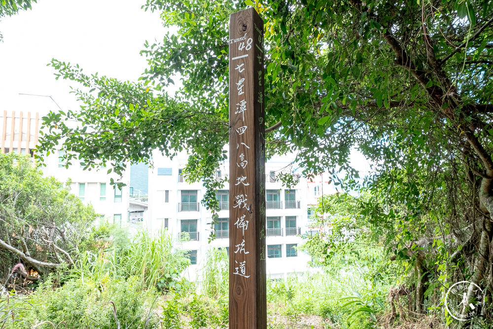 花蓮市景點|曼波海洋生態休閒園區(免門票)|近七星潭四八高地戰備坑道導覽