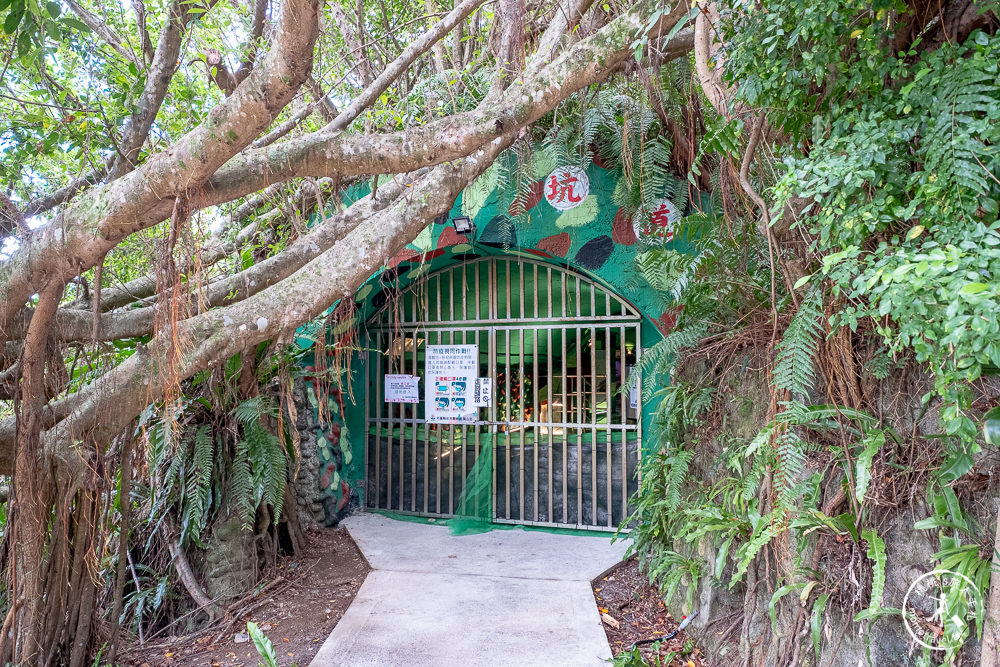 花蓮市景點|曼波海洋生態休閒園區(免門票)|近七星潭四八高地戰備坑道導覽