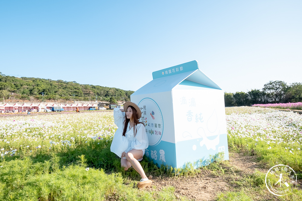 2020桃園花彩節》必看3大展區花海推薦:楊梅.大園.大溪│展區地點拍照攻略
