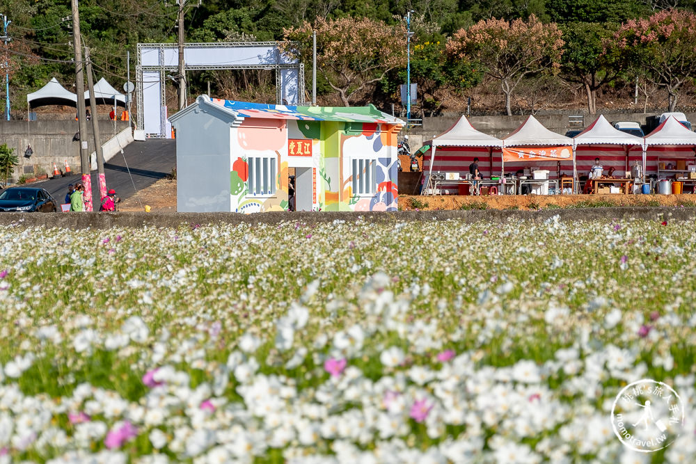 2020桃園花彩節》必看3大展區花海推薦:楊梅.大園.大溪│展區地點拍照攻略