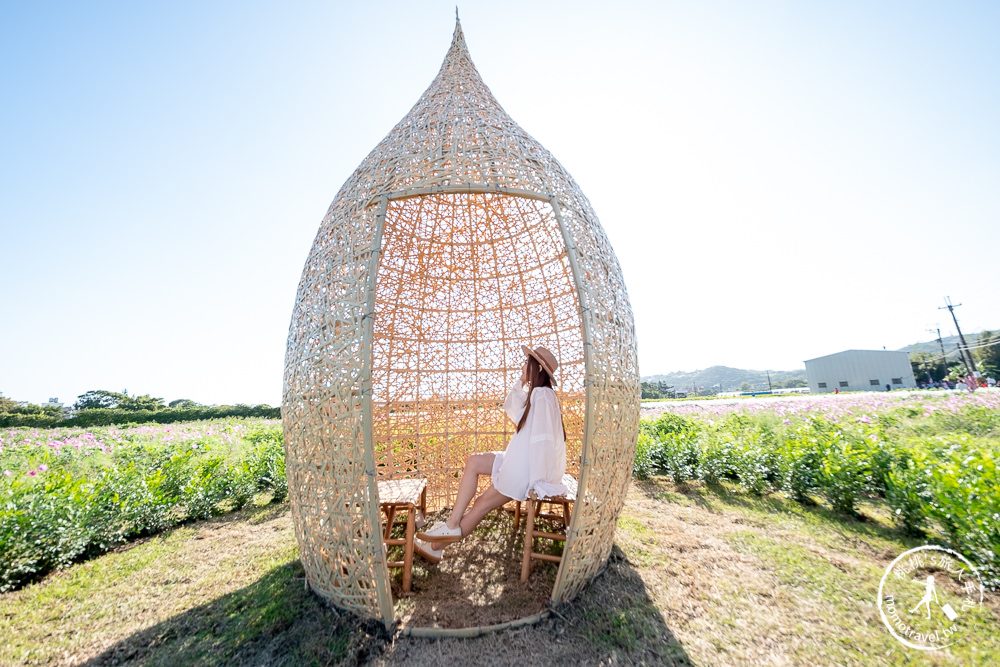 2020桃園花彩節》必看3大展區花海推薦:楊梅.大園.大溪│展區地點拍照攻略