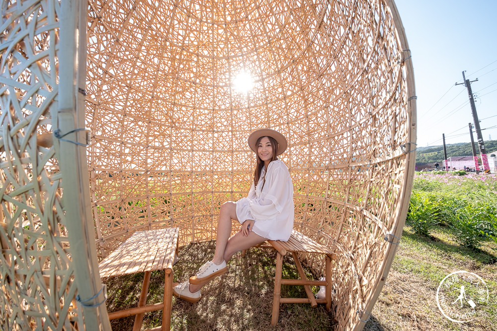 2020桃園花彩節》必看3大展區花海推薦:楊梅.大園.大溪│展區地點拍照攻略