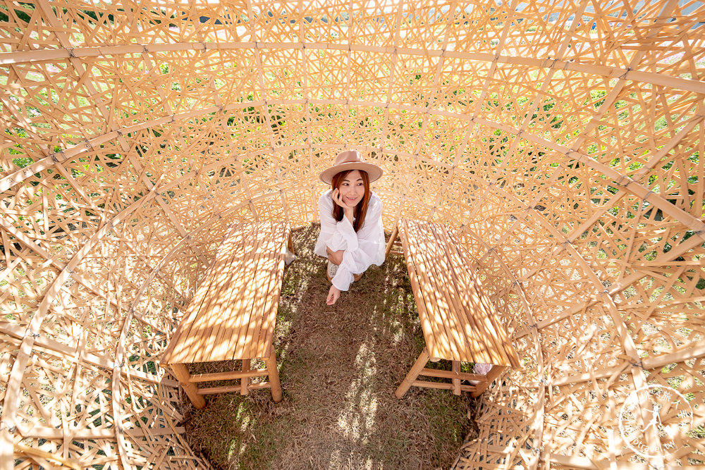 2020桃園花彩節》必看3大展區花海推薦:楊梅.大園.大溪│展區地點拍照攻略