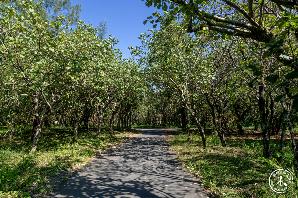 宜蘭頭城景點|頭城濱海森林公園(免門票)|八角樓瞭望台.全新露營區.咖啡廳.一覽龜山島海景|開放時間.交通停車介紹