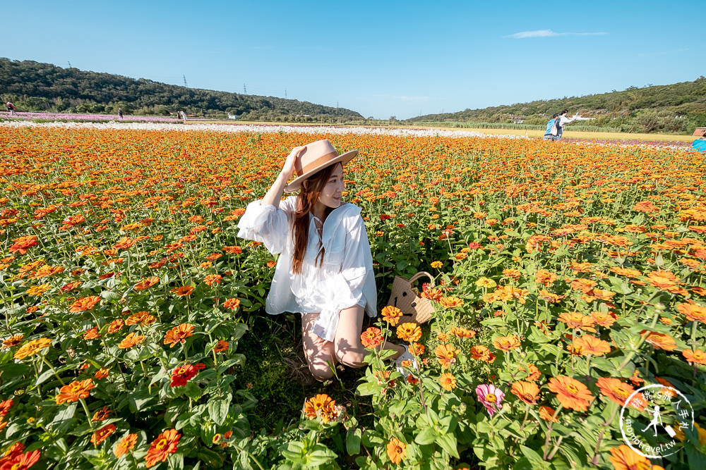 2020桃園花彩節》必看3大展區花海推薦:楊梅.大園.大溪│展區地點拍照攻略