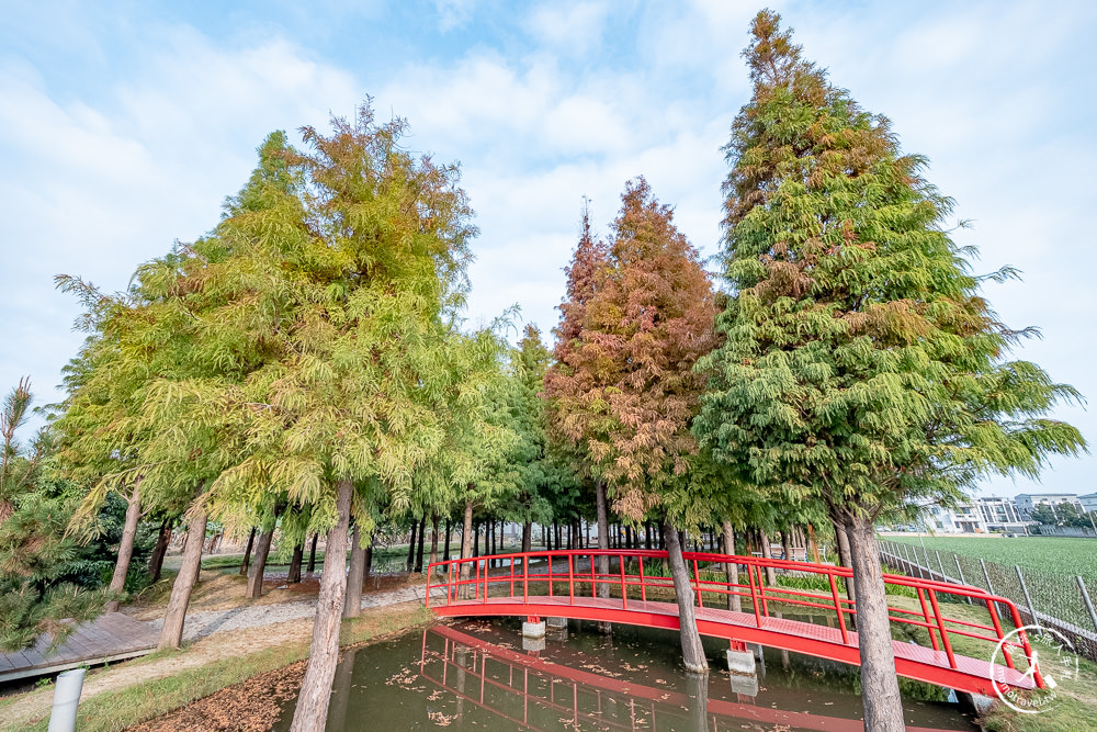 雲林虎尾景點|落羽松堀頭28秘境富士春|水上vs陸上 落羽松景觀 你喜歡哪一種?