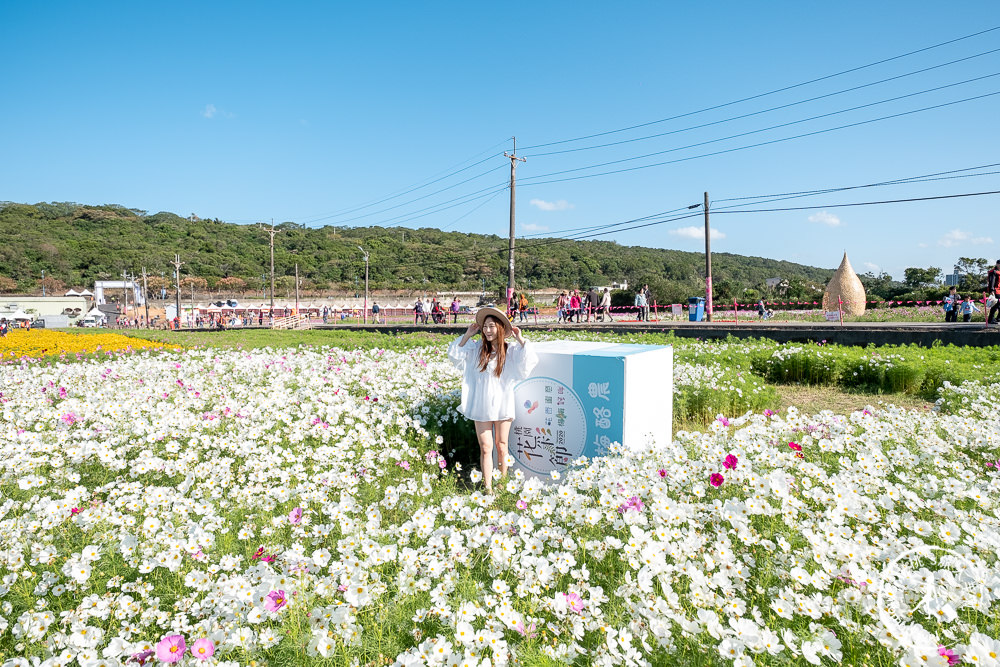 2020桃園花彩節》必看3大展區花海推薦:楊梅.大園.大溪│展區地點拍照攻略