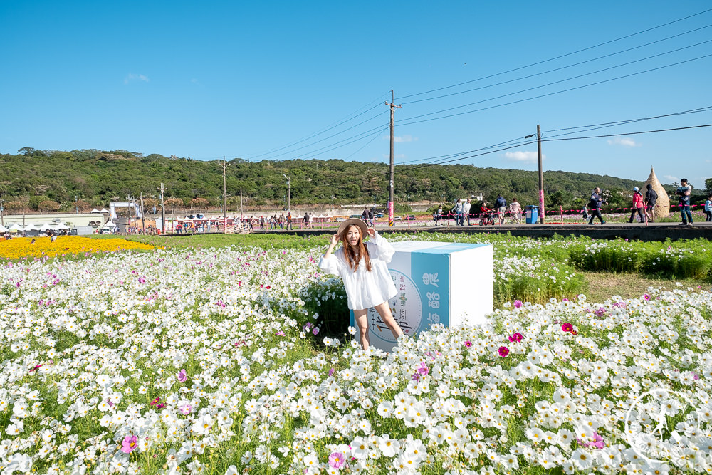 2020桃園花彩節》必看3大展區花海推薦:楊梅.大園.大溪│展區地點拍照攻略