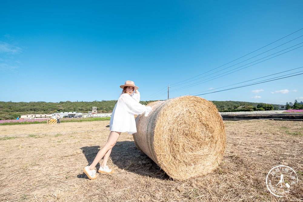 2020桃園花彩節》必看3大展區花海推薦:楊梅.大園.大溪│展區地點拍照攻略