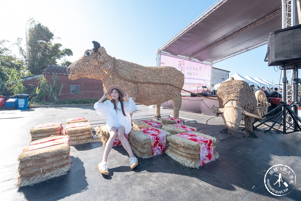 2020桃園花彩節》必看3大展區花海推薦:楊梅.大園.大溪│展區地點拍照攻略