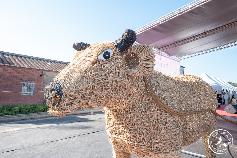 2020桃園花彩節》必看3大展區花海推薦:楊梅.大園.大溪│展區地點拍照攻略